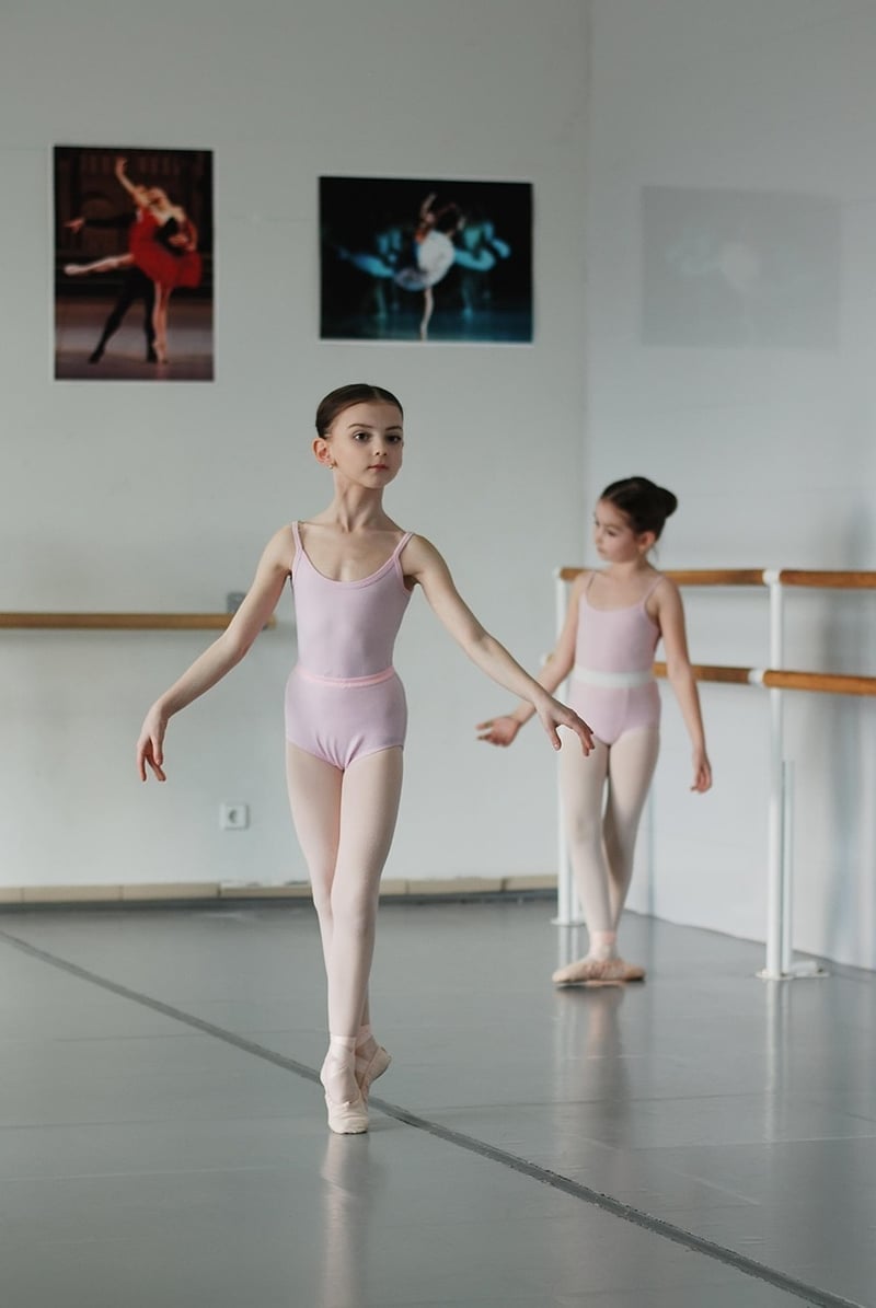 Ballet Fitness